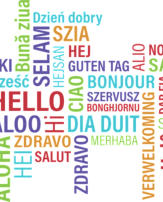 Add your one line caption using the Image tab of the Web Properties dialog